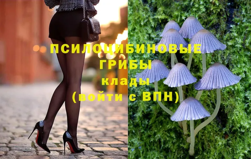 где купить   Отрадная  Галлюциногенные грибы GOLDEN TEACHER 